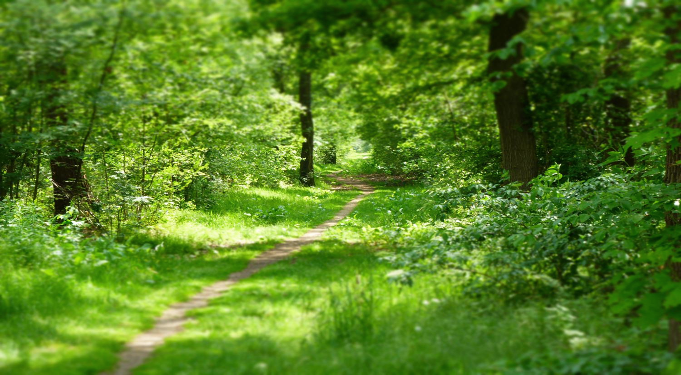 Hoverberg (c) StMarien